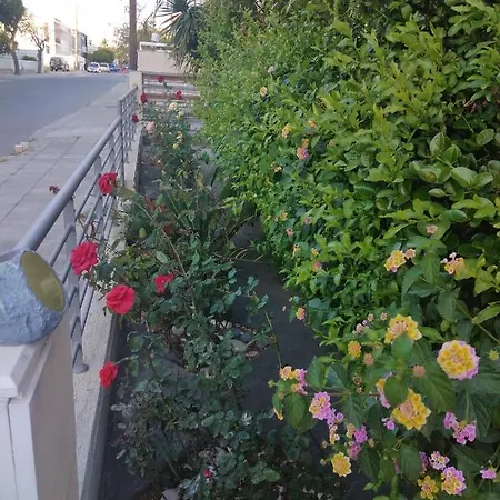 Andros Holiday home Limassol